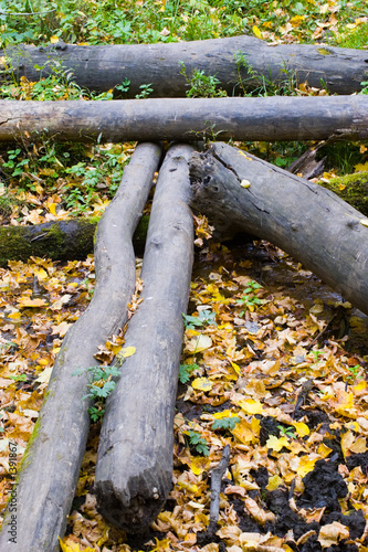 Log falled raised beds Log falled raised beds