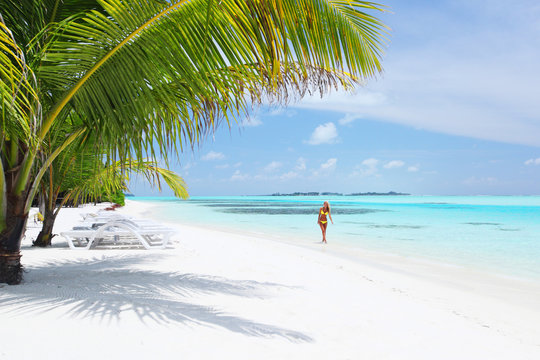 Bikini Palm Tree Bilder Durchsuchen Archivfotos Vektorgrafiken Und Videos Adobe Stock