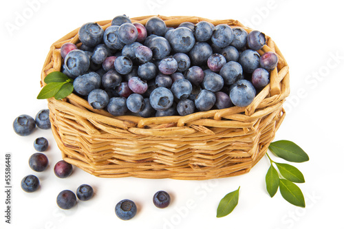 noegne piger billeder blueberry №26512 noegne piger billeder blueberry № 26511