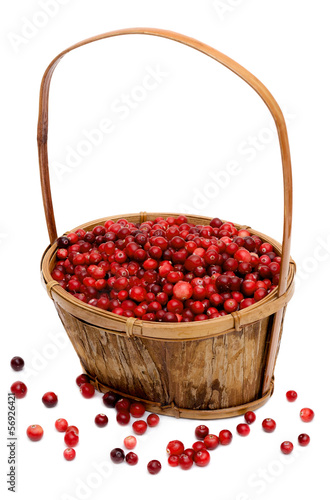 Корзина клюквы рисунок Корзина клюквы рисунок