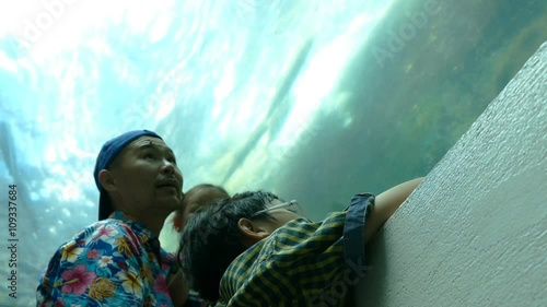 Watch The Fish Child Putlocker#