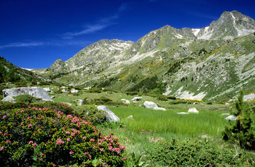 vallée du campcardos