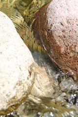 rivière entre les roches