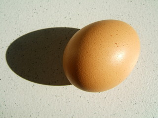oeuf et son ombre