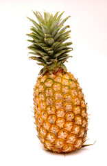 Fototapeta premium ananas 01