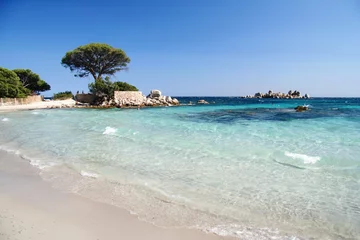 Deurstickers Palombaggia strand, Corsica tamariccio