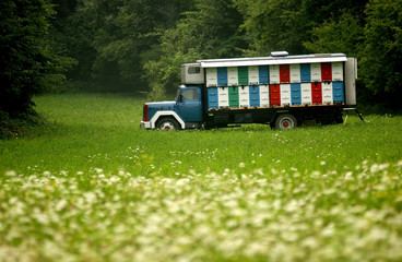 camion de ruches
