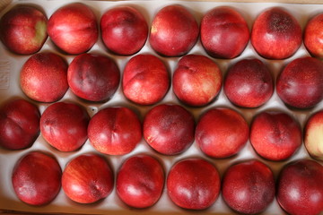 nectarines