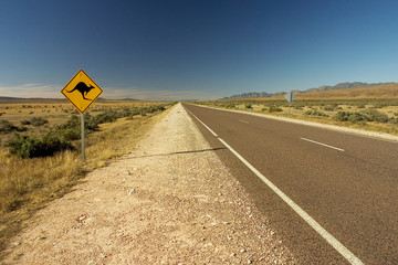 kangaroo road sign