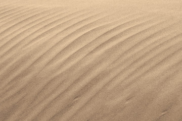 Fototapeta na wymiar Dune 2