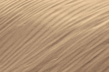 Fototapeta na wymiar dune 3