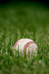 baseball in the grass