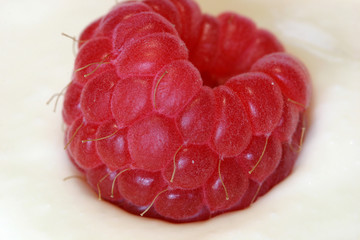 raspberry in vanilla yoghurt