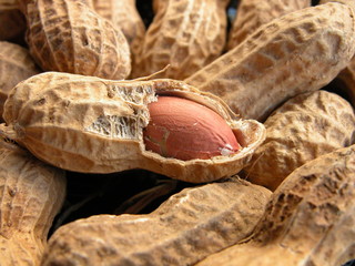 cacahuettes