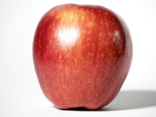 isolated apple 1