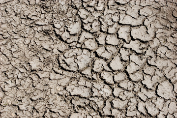 drought