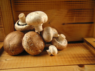 delicious champignons