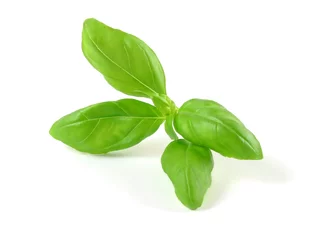 Photo sur Plexiglas Herbes aromatic basil