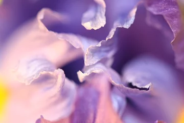 Zelfklevend Fotobehang Iris iris bloemblaadje achtergrond