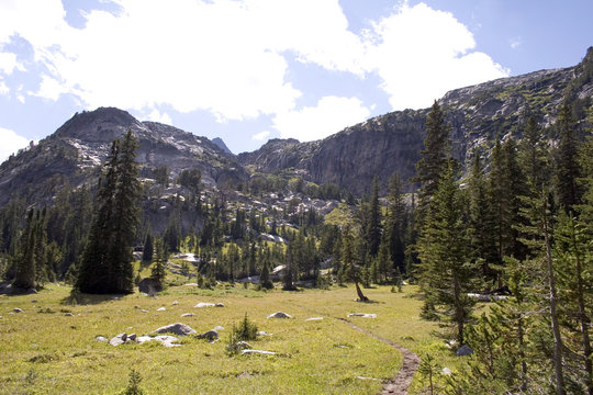 montana wilderness trail