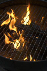 barbecue grill