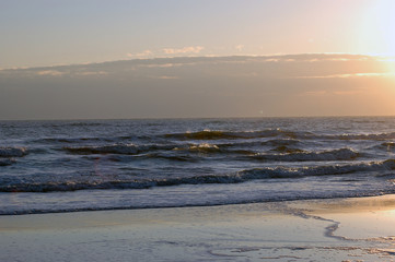seagulls on daytona beach, florida