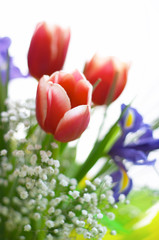 a bunch of tulips and irises