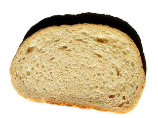 bread slice