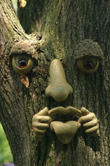 tree face