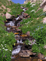 mountain stream