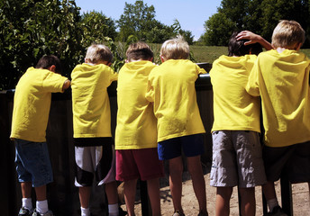 boys in yellow shirts