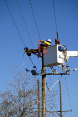 electric utility lineman