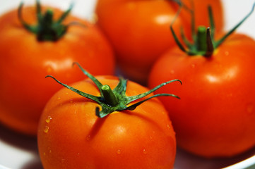 red, ripe tomatoes with water droplets