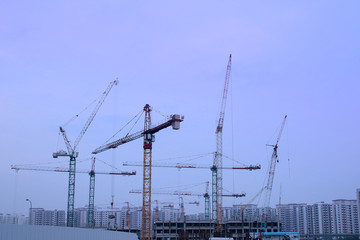 construction cranes at twilight