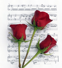 roses and music