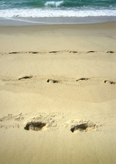 traces sur la plage