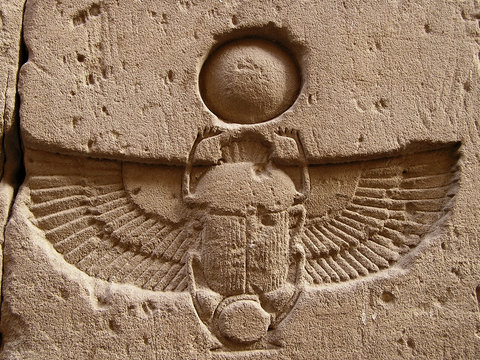 carved  scarab