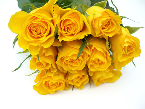 Ảnh hoa hồng vàng sẽ đưa bạn vào một thế giới của sự tinh tế và lãng mạn. You sẽ được thỏa mãn với những bức ảnh sống động và đầy màu sắc. Tải xuống ngay để cảm nhận vẻ đẹp của hoa hồng vàng!