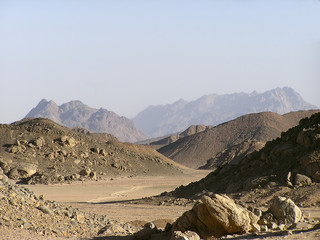 Fototapeta na wymiar arabian sand dunes1, Sahara, Egypt