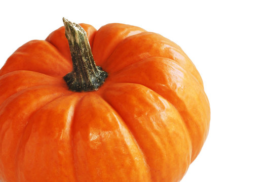 mini pumpkin