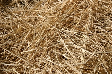 waste
