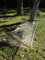 net hammock strung between two trees