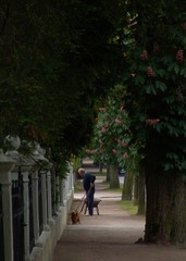 street idyll