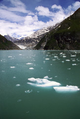 tracy arm fjord ii