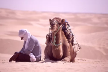 Stickers pour porte Tunisie un descanso en el desierto