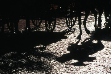 sombras de la feria