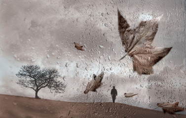 sous la pluie 1