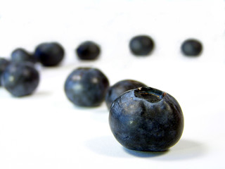 blueberry trail