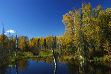 calm alaskan day in fall