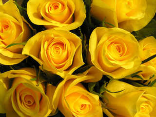 a bouquet of yellow roses